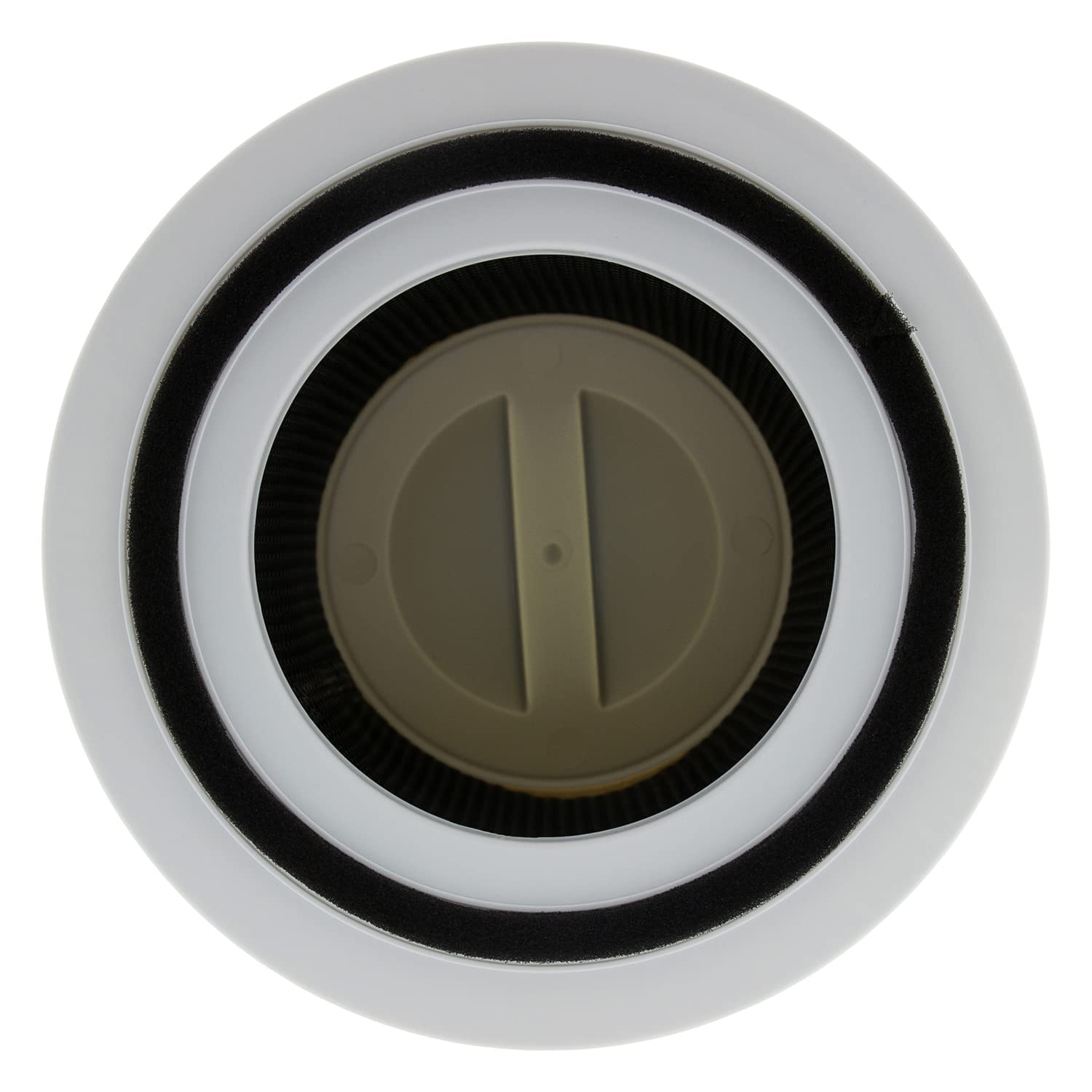 Juego de 2 filtros HEPA compatibles con LEVOIT Core 300 Core P350 purificador de aire | filtros de repuesto contra contaminación del aire como humo y gases de escape