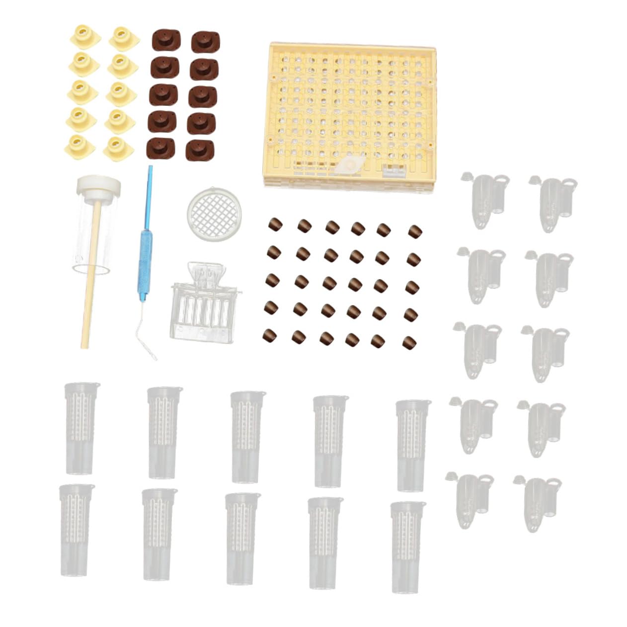 Boîte pour Système D’élevage de Reines Abs Légère, Kit Apicole