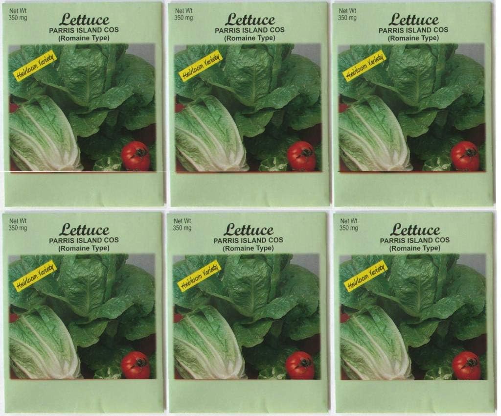 (6 Pack) Heirloom Variety Romaine Lettuce Seeds 350 mg/pack Non GE Seeds