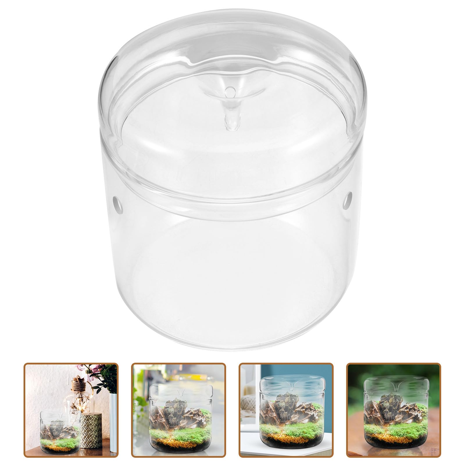 OSALADI Terrario in Vetro Trasparente 12x12 Cm per Piante, Contenitore Fai da Te Ecosistema Muschio, Bottiglia Micro Paesaggio Decorativa per Casa Ufficio Giardino