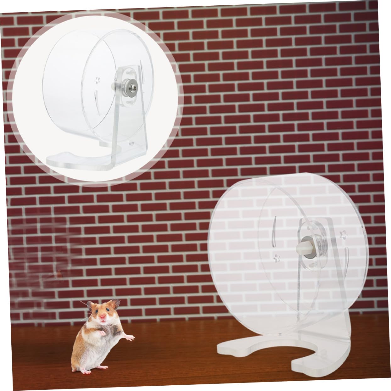 Rueda para Hámster con Soporte Transparente Silenciosa para Ejercicio de Jerbos y Pequeños Roedores Resistente Fácil de Instalar