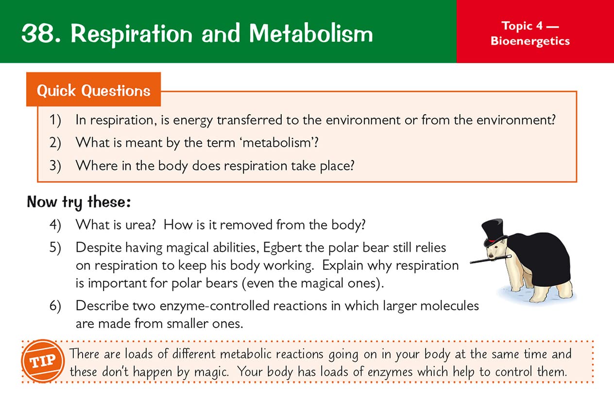 GCSE Biology AQA Revision Question Cards: for the 2025 and 2026 exams (CGP AQA GCSE Biology) 10 61kNo8brfPL. SL1264