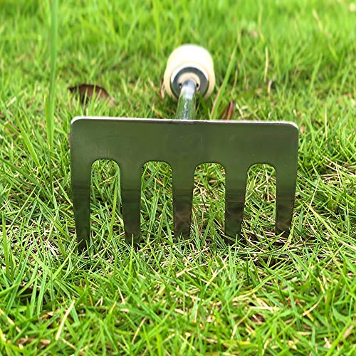 Rastrillo de Jardín Enjoyer con 5 Dientes de Acero y Mango Ergonómico miniatura 4