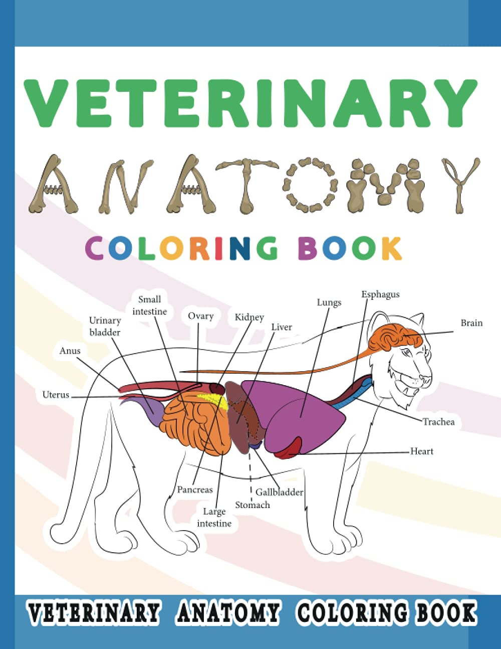 Veterinary Anatomy Coloring Book: Zoology Education For Kids And Adults