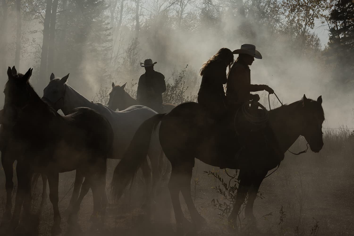 Heartland - Paradies für Pferde - Staffel 14