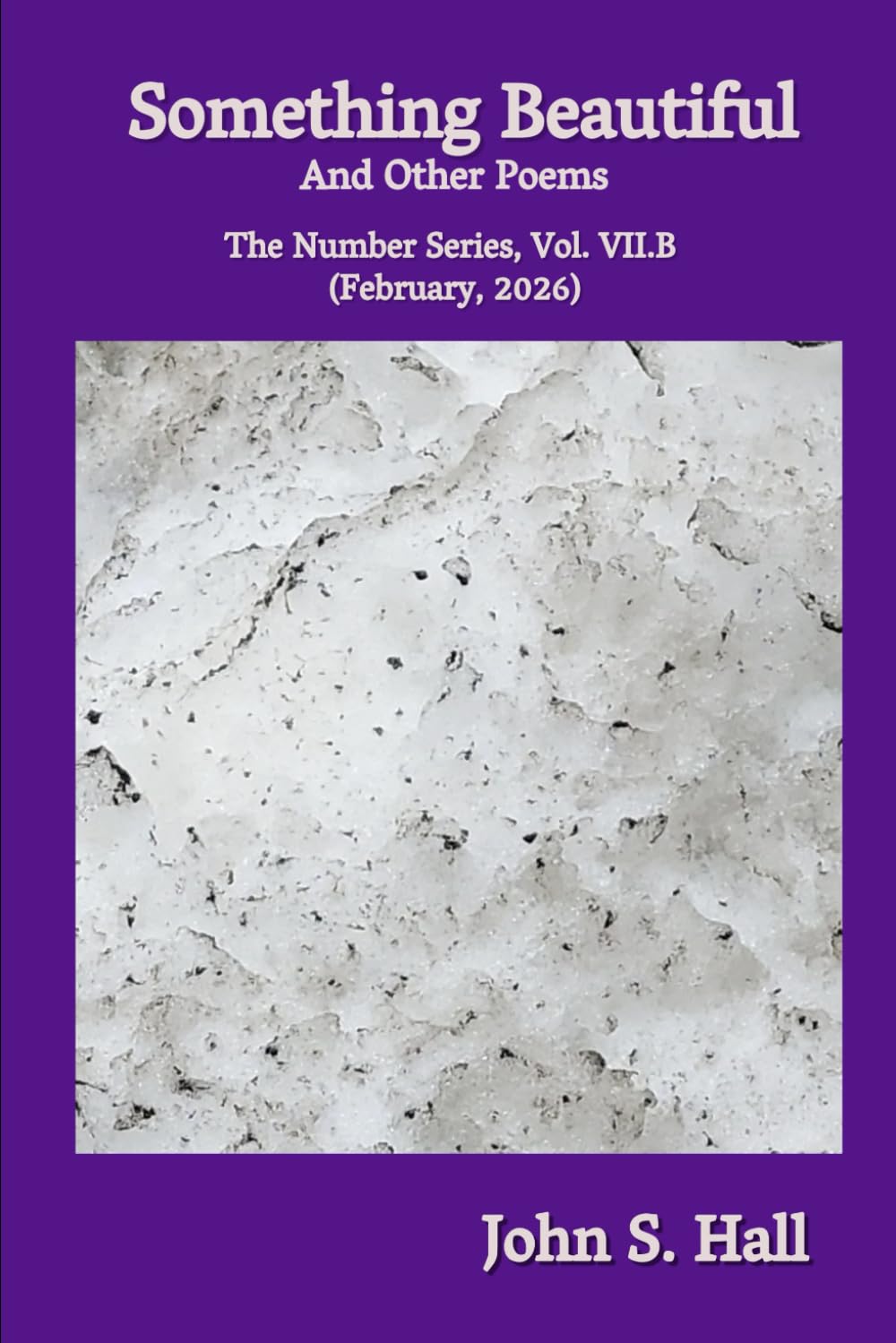 Something Beautiful and Other Poems: The Number Series, Vol. VII.B (February, 2026)