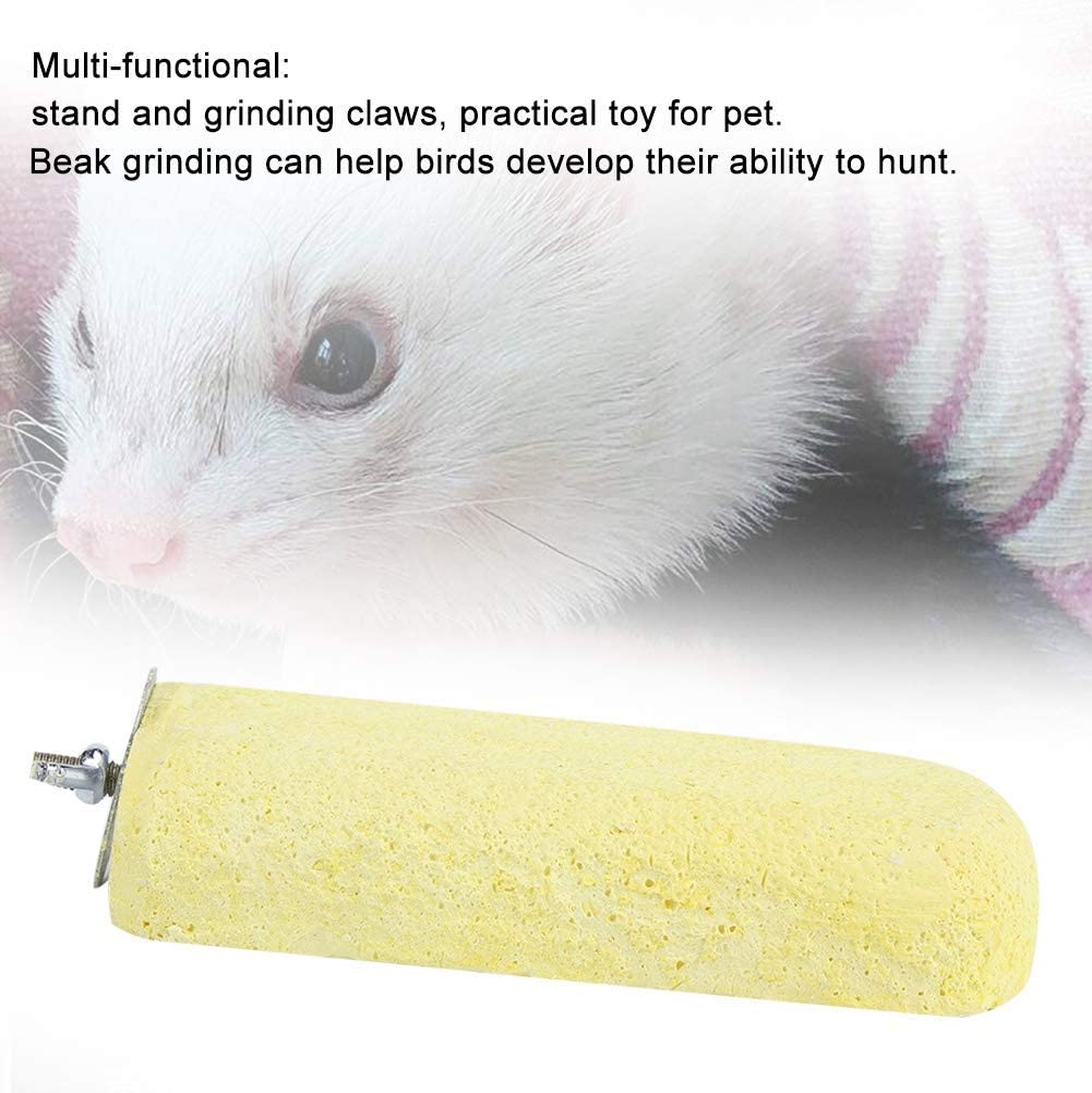 🦜 Piedra De Molienda Para Pájaro, Loro O Hamster - Juguete De Dentición Y Calcio Con Soporte De Acero Inoxidable