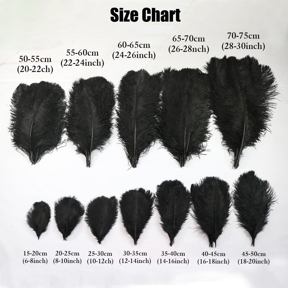 50 Piume Di Struzzo Naturali | Lunghezza 15-20cm | Nero | Per Decorazioni E Fai-Da-Te