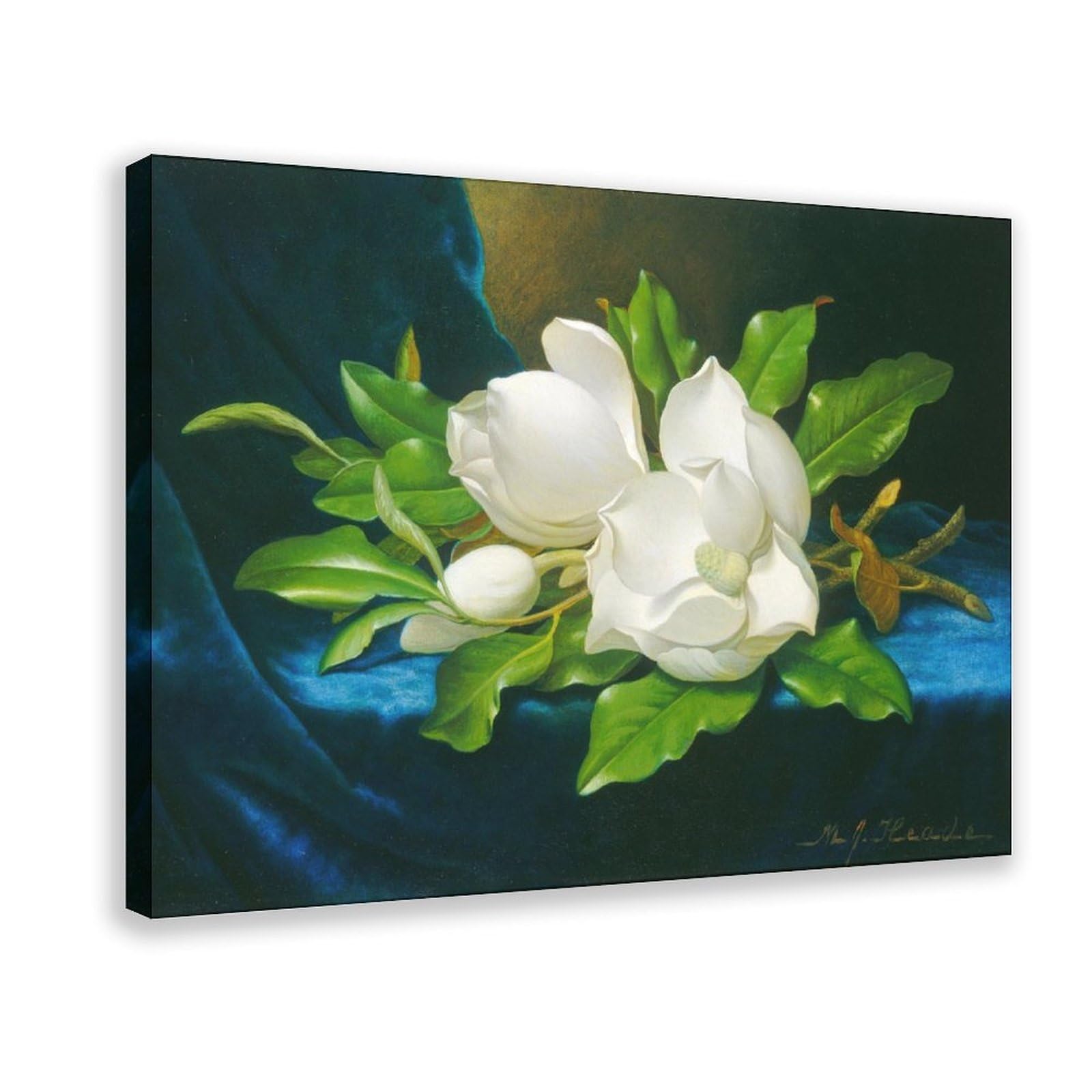 DFJyjFGJJ Martin Johnson Heade,Giant Magnolias on A Blue Velvet Cloth Canvas Posters Wall Art Bedroom Office Room Decor Gift 20" L X 30" W