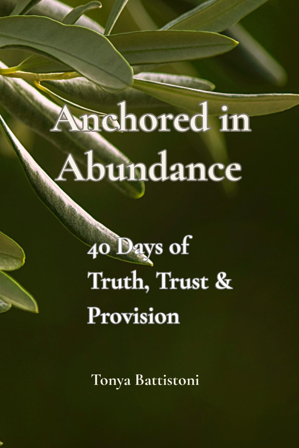 Anchored in Abundance: 40 Days to Truth, Trust and Provision