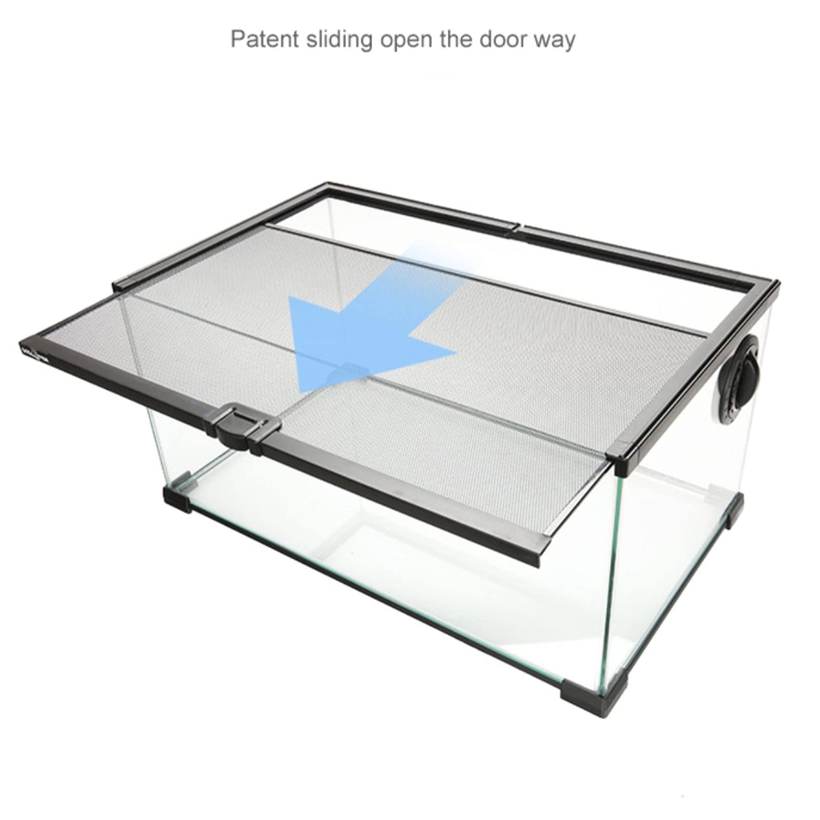Serbatoio di tartaruga Tartaruga Tarcoise Terrazza Anfibio Ecologico Serbatoio Ecologico Glass Blank Turtle Terrario Villa Brasiliana Tartaruga Brasiliana Tartaruga acquatica Soggiorno Piccolo per Int