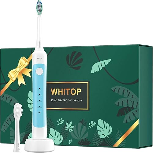 CD-11 Cepillo de dientes eléctrico sónico para adultos para hombres y mujeres, cepillo de dientes ultrasónico electrónico recargable con carga