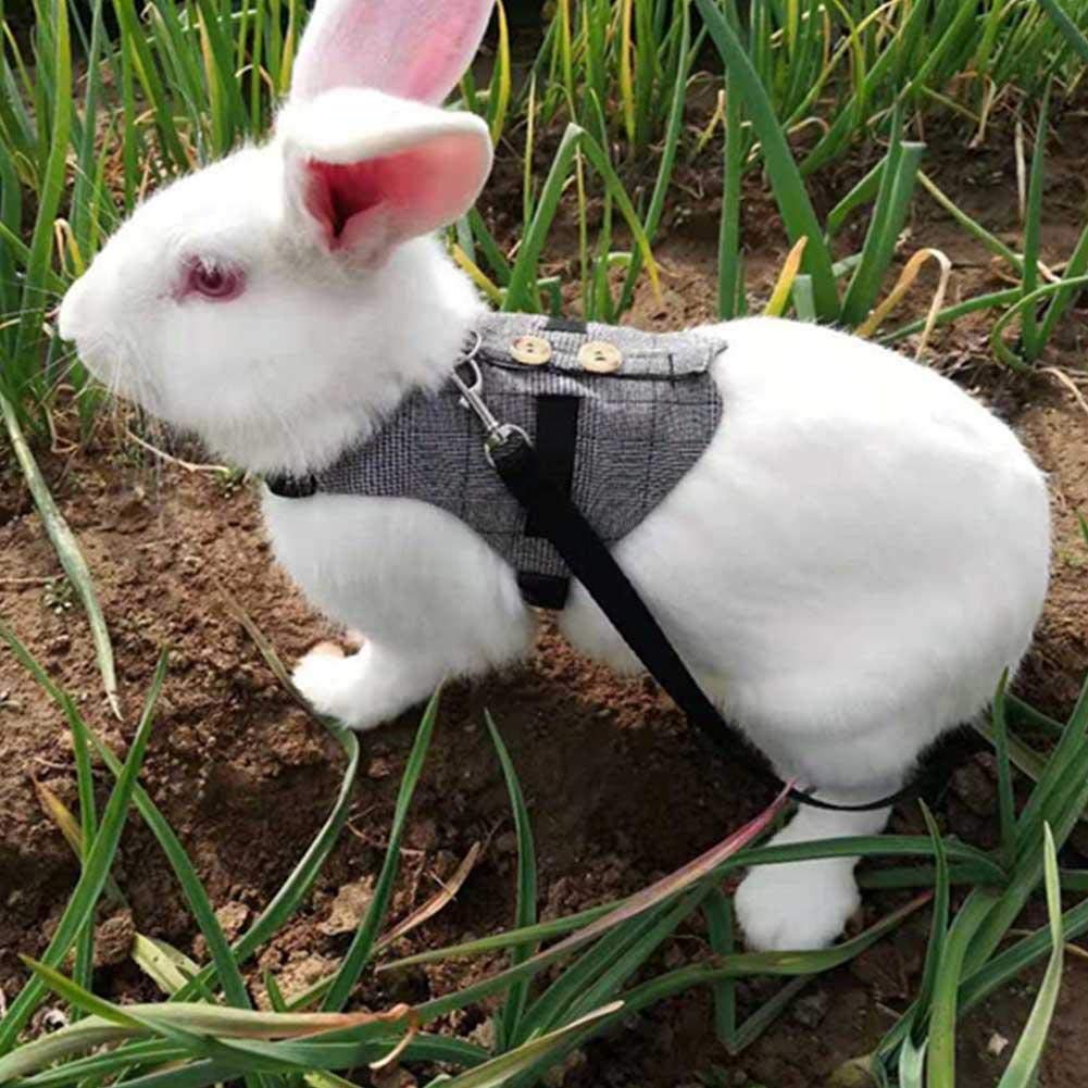 Rabbit Vest Harness and Leash Set, Adjustable Formal Suit Cute Pet Harness Leash Set for Bunny Puppy Kitten Ferret and Other Small Animals for Kitten Small Animal Walking (M)