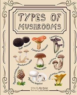 Types of Mushrooms: A Visual Guide to the Fascinating World of Fungi