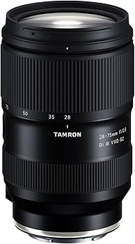 Amazon.com : Tamron 28-75mm F/2.8 Di III VXD G2 for Sony E-Mount