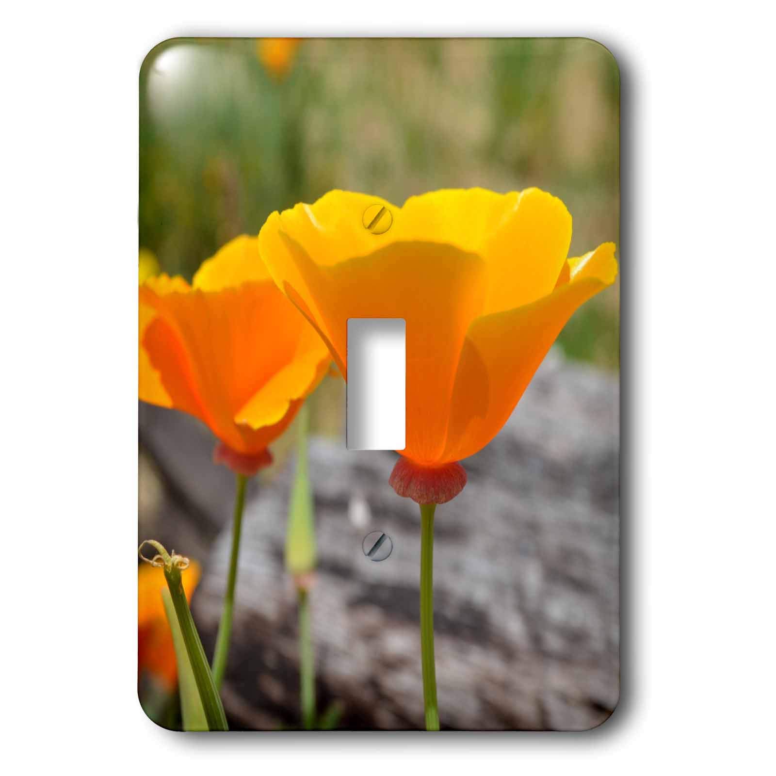 Interrupteur coquelicots orange pour embellir un salon chaleureux 3dRose