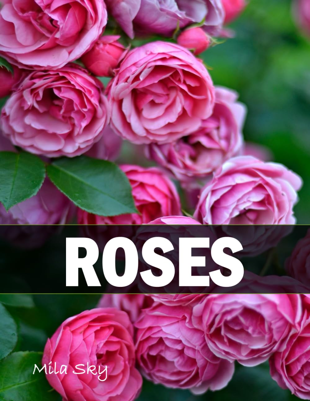 ROSES: A Stunning Coffee Table Collection of Flower Photography