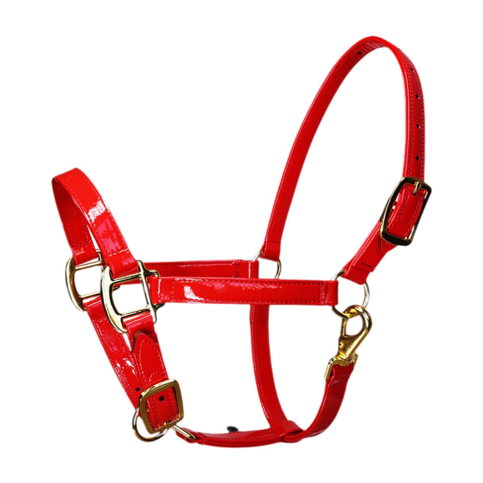 Cavezza per Cavallo in Pelle Microfibra con Gancio per Mento, Ideale per l'addestramento.