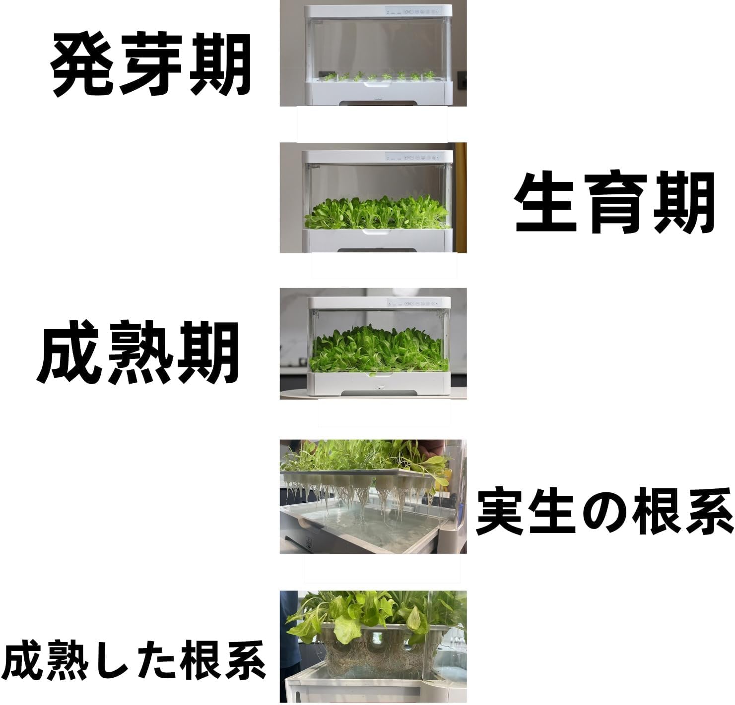 Tyoksi水耕栽培システム、無土壌栽培、室内育苗機、野菜栽培セット。省エネ、環境に優しく、大容量、家庭、オフィス、レストラン、ホテ