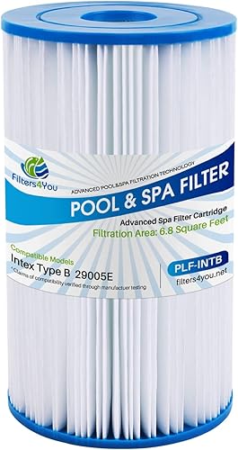 F4Y- PLF-INTB Filtro de piscina de repuesto para 56611E - Bomba de filtro generador de cloro, 56621E - Bomba de filtro de 4000 galhora, cartuchos de