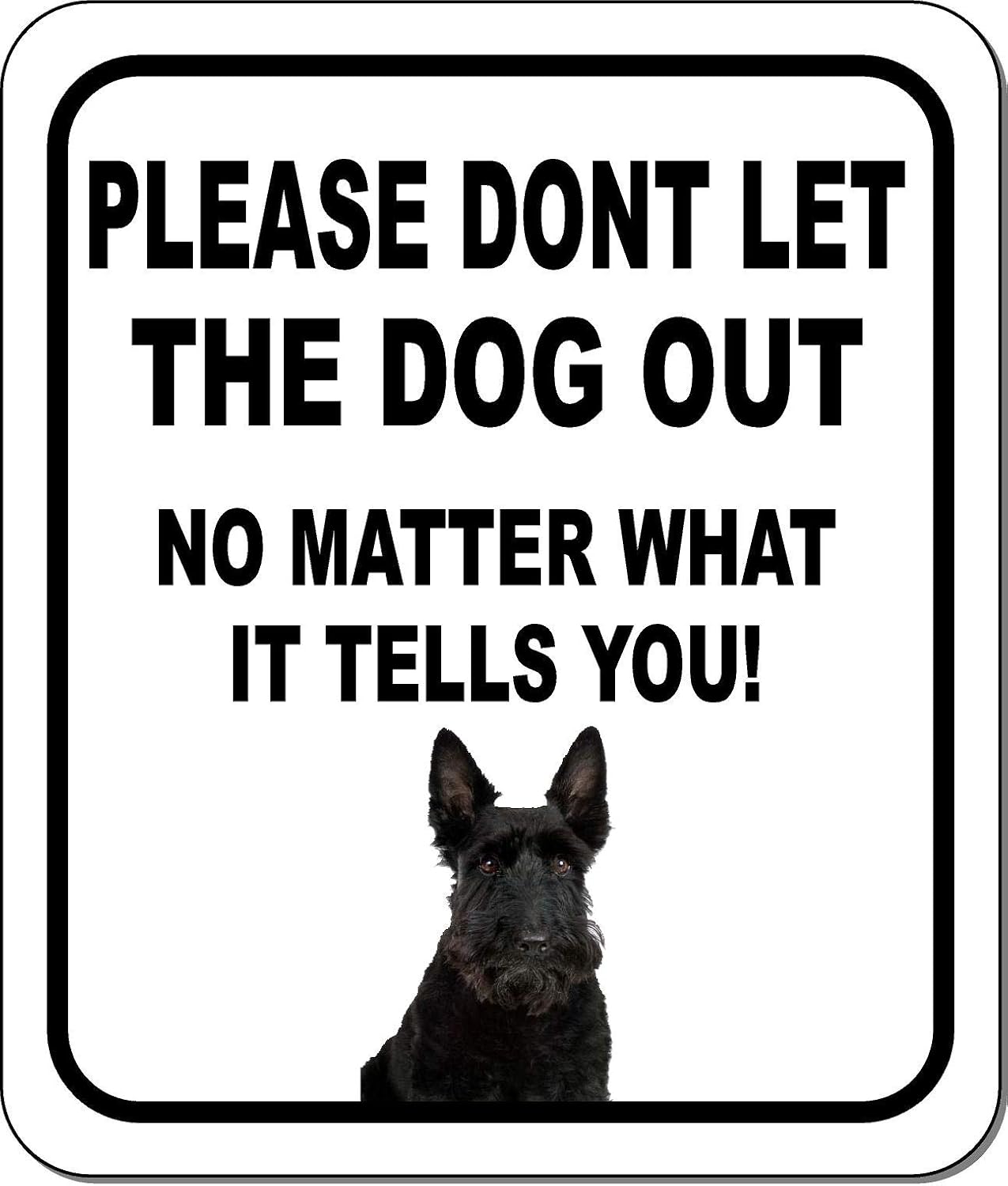 PLEASE DONT LET THE DOG OUT NO MATTER WHAT Scottish Terrier Aluminum Composite Outdoor Sign 15" x18"