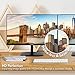 VIOTEK H250 25 Inch Ultra Thin Computer Monitor with Frameless LED Display 1920 x 1080p, 60Hz, and 2ms with HDMI and VGA, VESA