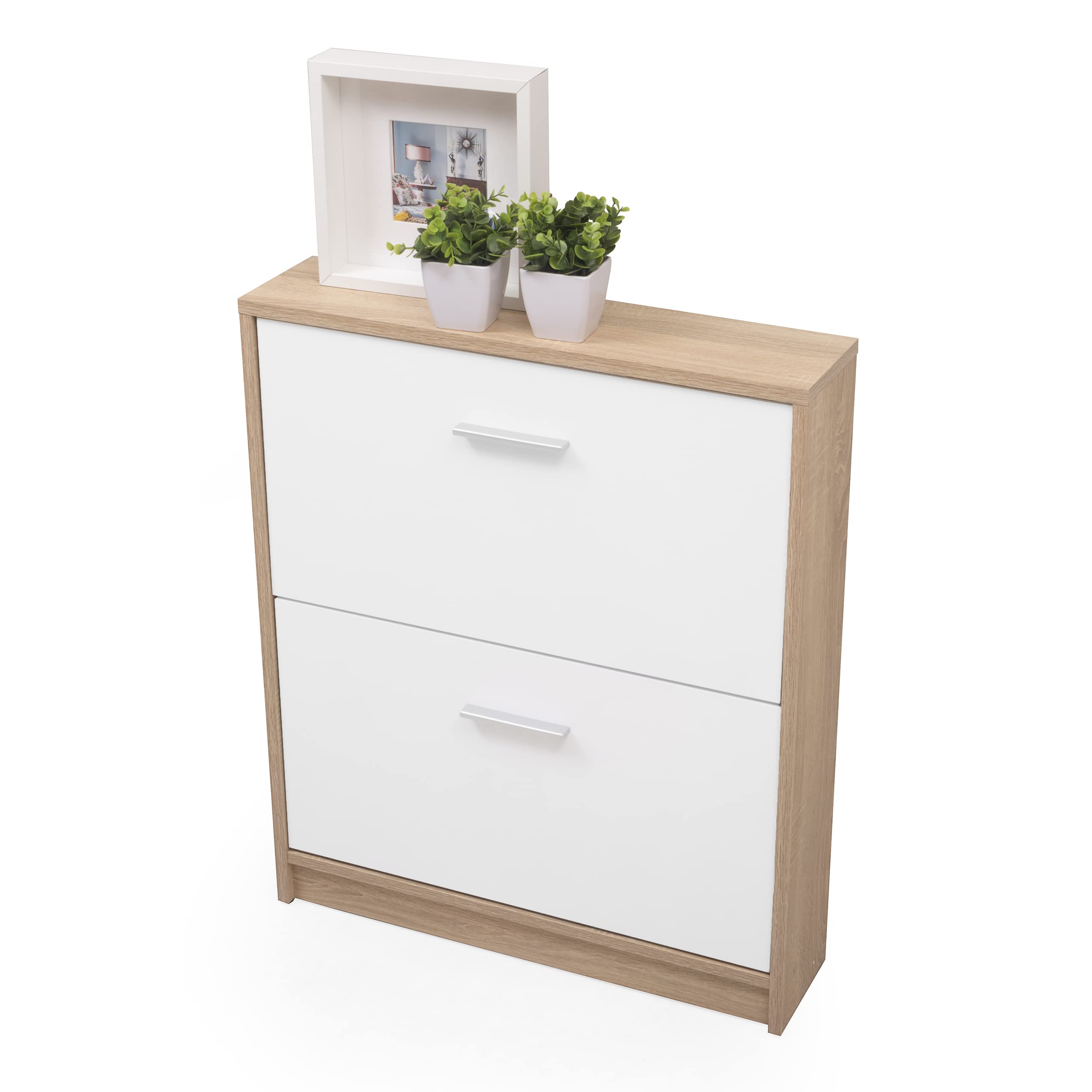 Homely - Mueble Zapatero KENTO | Diseño Moderno, Diseño Nórdico | Zapatero para Habitación, Hall, Dormitorio, Entrada | 2 Puertas abatibles | 69,5x17,5x84 cm | Color cambrián y Blanco