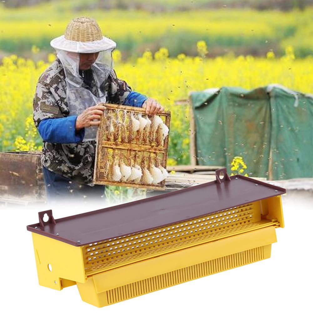 Plateau Trappe à Pollen apicoles Travail Exquis Bee Hive Entrée Apiculture Apiculture Outils Jardin Fournitures essentielles