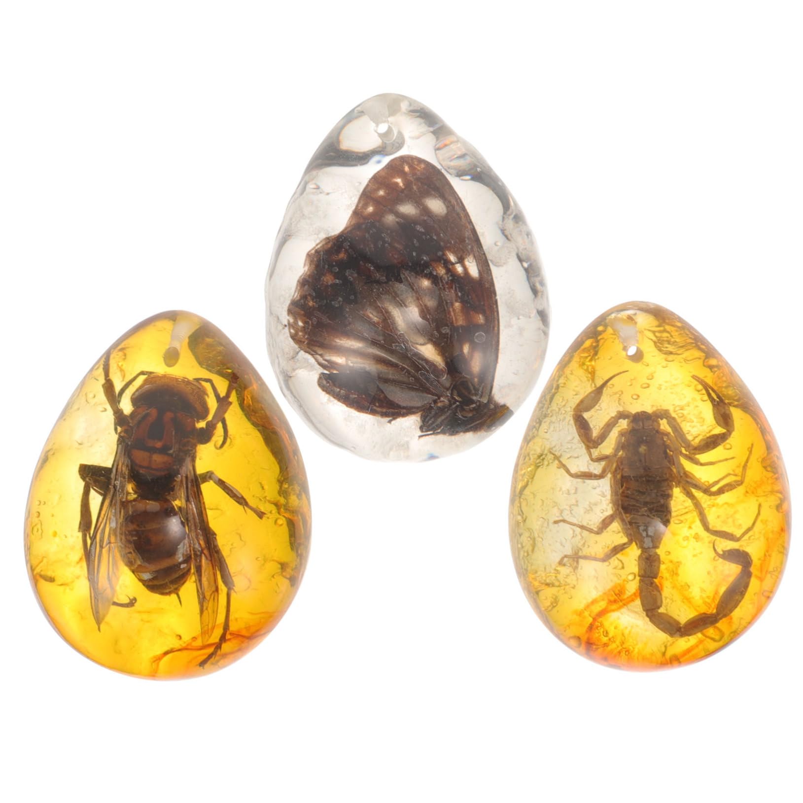 TOYANDONA 15pezzi Insetti Ambra Naturale Decorazione Ambra Con Specimen Di Insetti Farfalla Scorpione Ape Ciondolo Unico Per Appassionati Decorazioni Fai Te