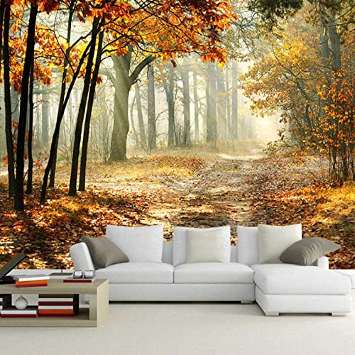 Papier peint mural 3D forêt d'automne, solution mur salon sombre 200x150 - 3