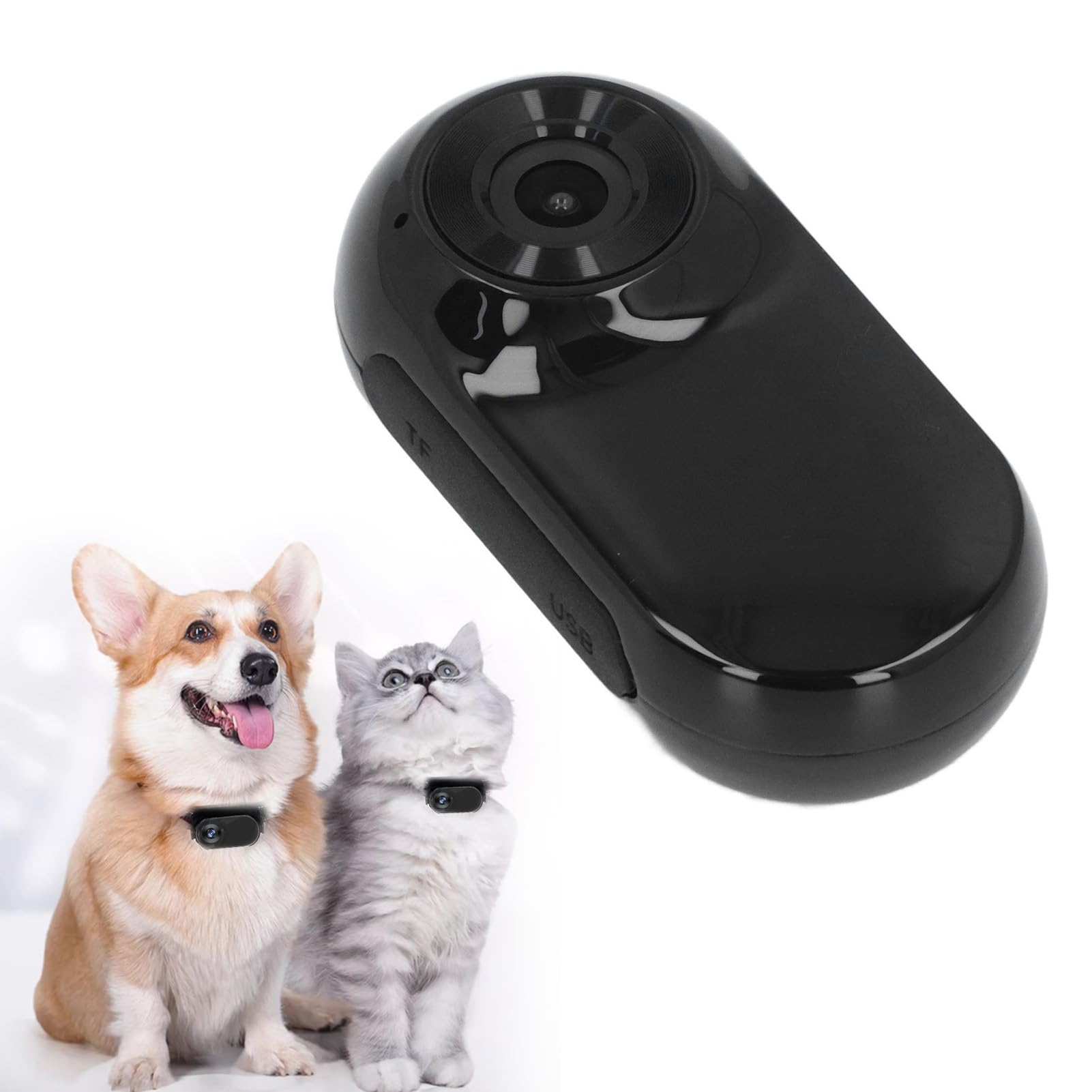 Topiky CALLARE PET COLLAR, COLLAR CATTO HD 1080P CON VIDE REGISTRA, AZIONE MAGNETICA REGOLABILE PER CAMERA DEL BODY OUTDOOR PER le Forniture PER Animali Domestici (BLACK)