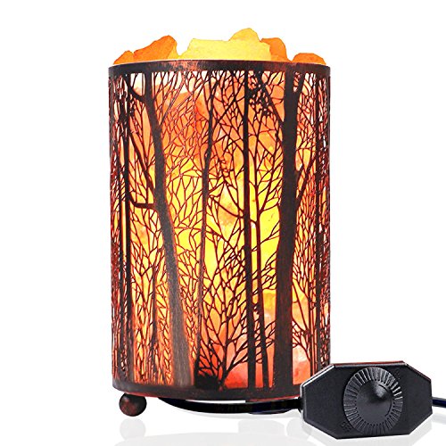 Natural Himalayan Salt Lamp,Air Purifying Pink Salt Rock Lamp Night Light in Forest Design Metal Basket with Dimmer Switch (4.1 x 6.5 4.4-5lbs),25Watt Bulbs & ETL Cord (Pink)