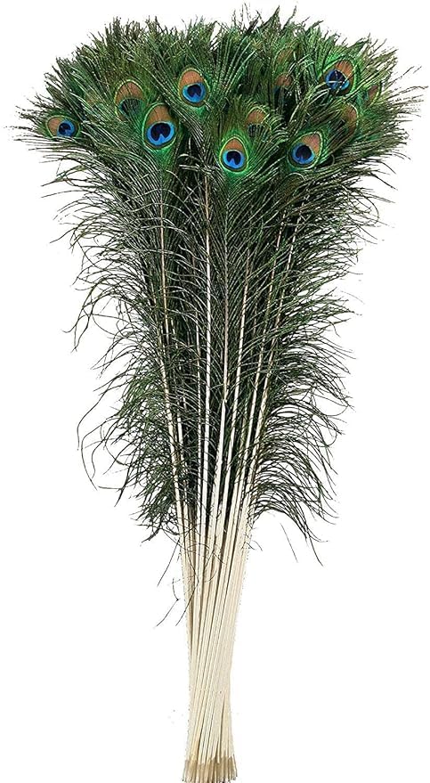 FOLA MOOLYAVAAN PRODUCTS Peacock Feather More Pankh Feather Tails. Full Length Size 30 Inch More Pankh for Janamashtami Diwali Navratri Artefact Decoration Item (6)