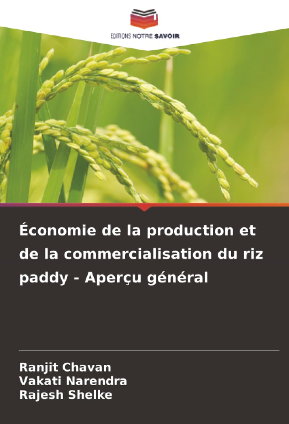 Économie de la production et de la commercialisation du riz paddy - Aperçu général