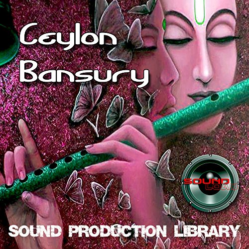 Blues Harmonica Real Large, very useful original WAVE/NKI Loops