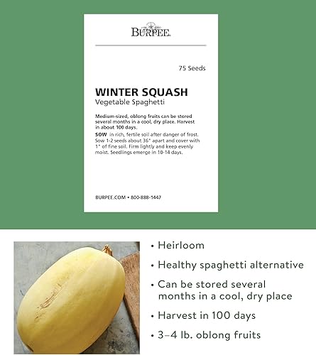 Miniatura 8 de Burpee Butterbush Winter Squash Seeds 40 semillas