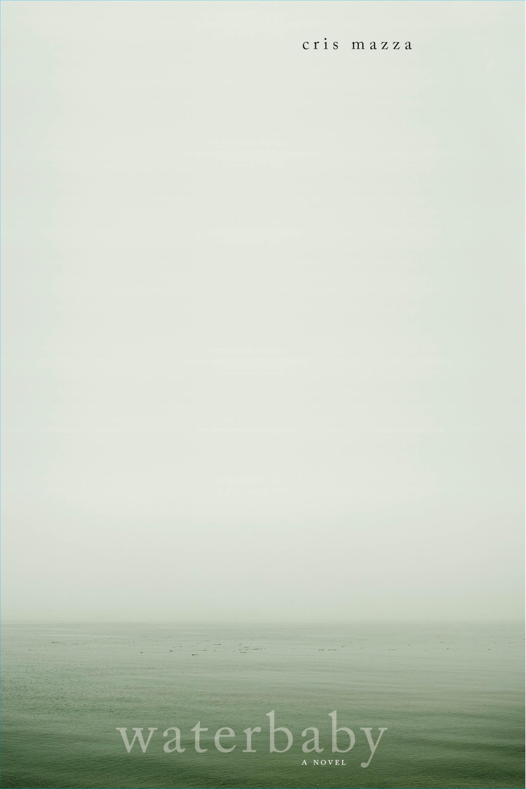 Buy Waterbaby: A Novel — BookShops.in