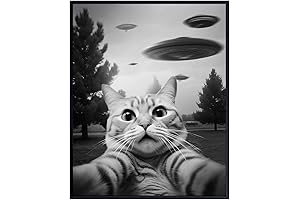 UFO Cat Art - Funny Boy's Bedroom Decor