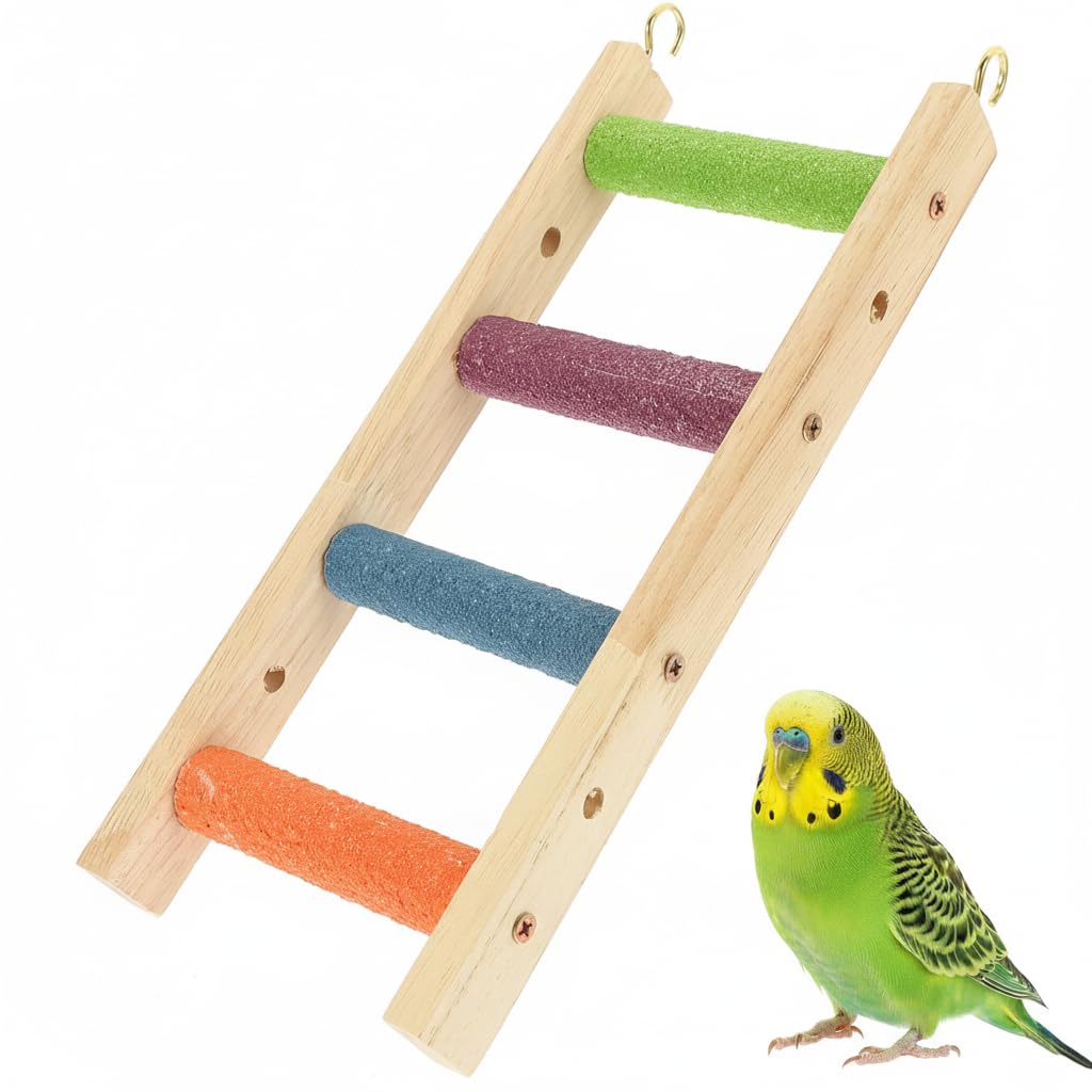 Échelle en bois pour petit perroquet contre l'ennui en cage