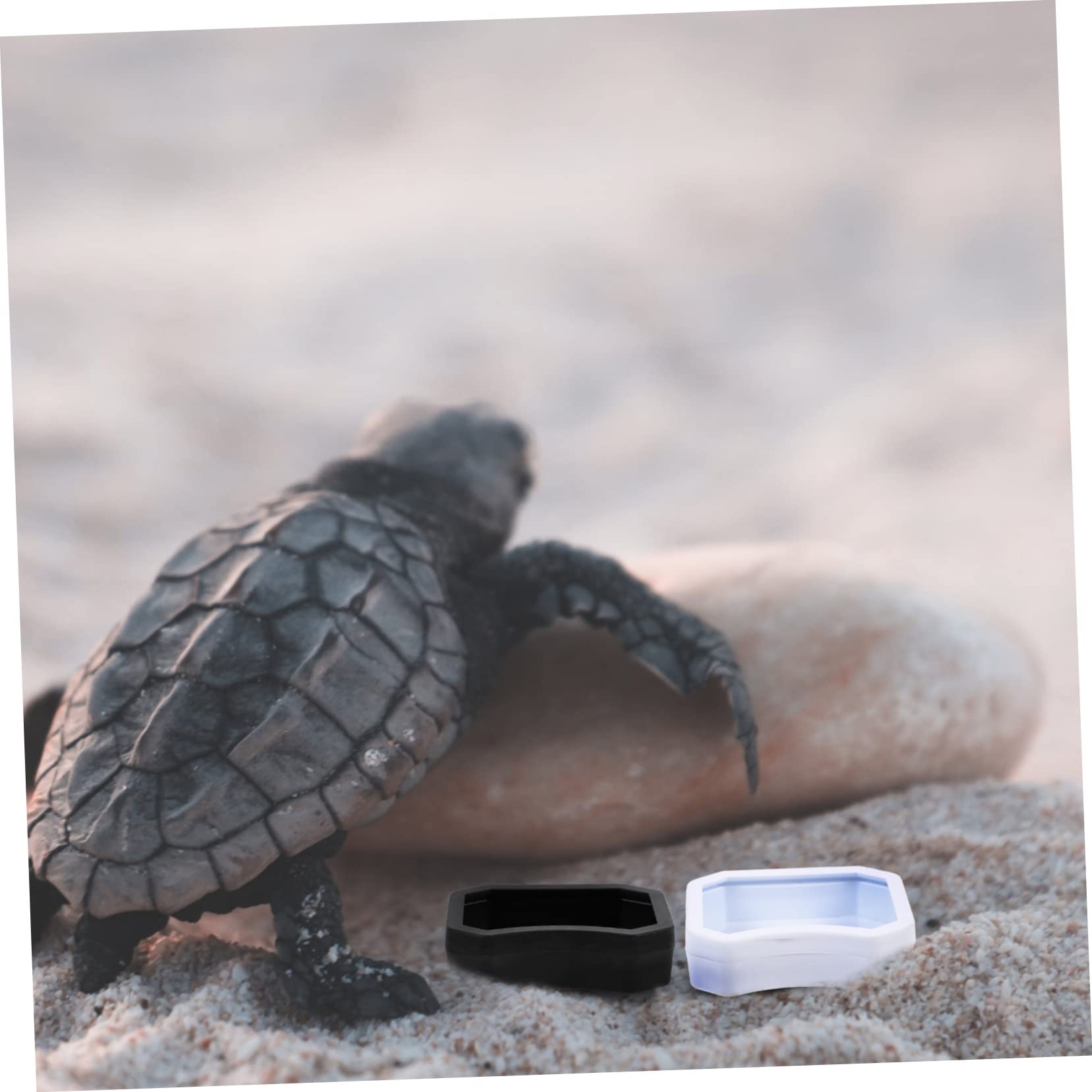 BESPORTBLE 40 Piezas Tazón De Comida para Mascotas Trepadoras Dispensador De Comida Lagarto Plato De Agua De Reptil Contenedor De Comida para Mascotas Comedero para Rana El Plastico