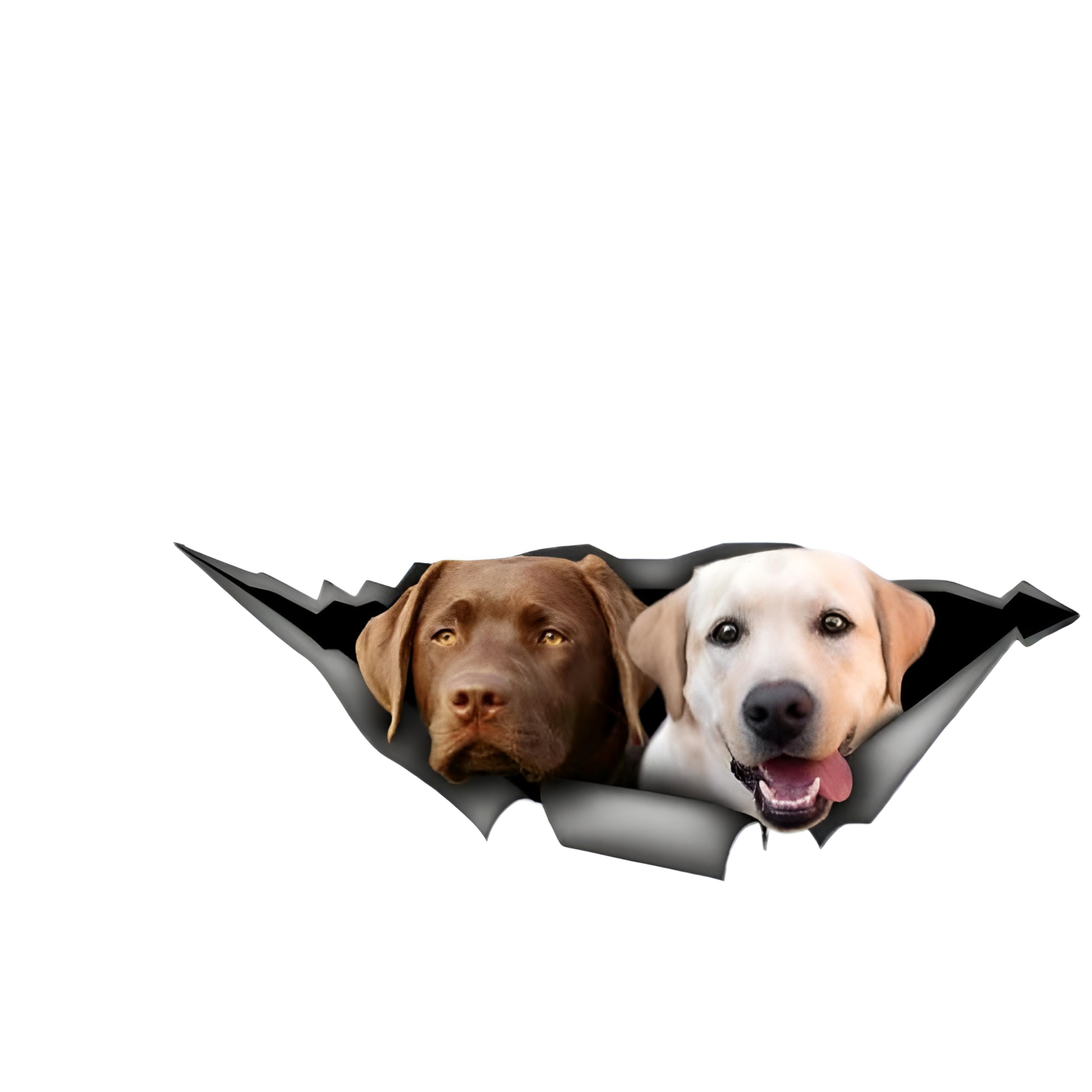 Französische Bulldogge Aufkleber, 3D Zerrissener Effekt, Was