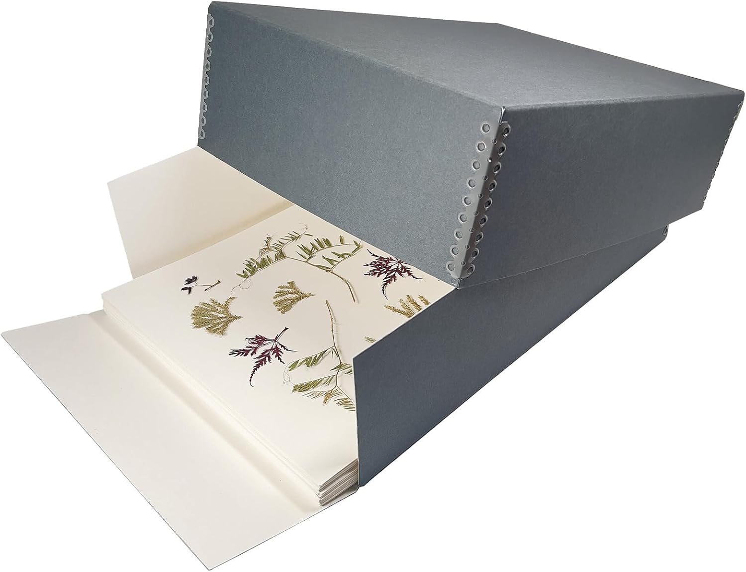 Lineco, Archival Herbarium Boxes, Acid-free Storage Box for Storing Specimen, Genus Folders and Transporting Mounted Specimens, Gray 17x12.25x5 inch