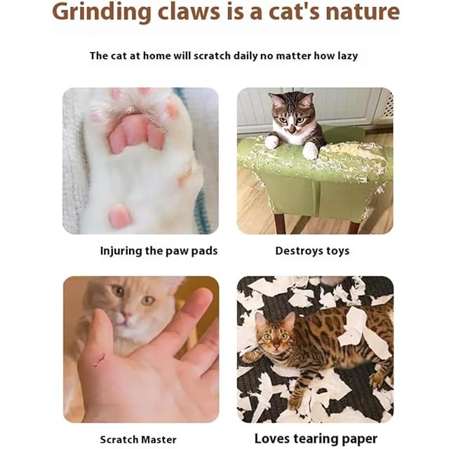 Foto 4 de 7 de NNBWLMAEE Cat Toy, Foldable Bouncy Cats Toys for Indoor Cats, Interactive Aesthetic Cat Scratcher