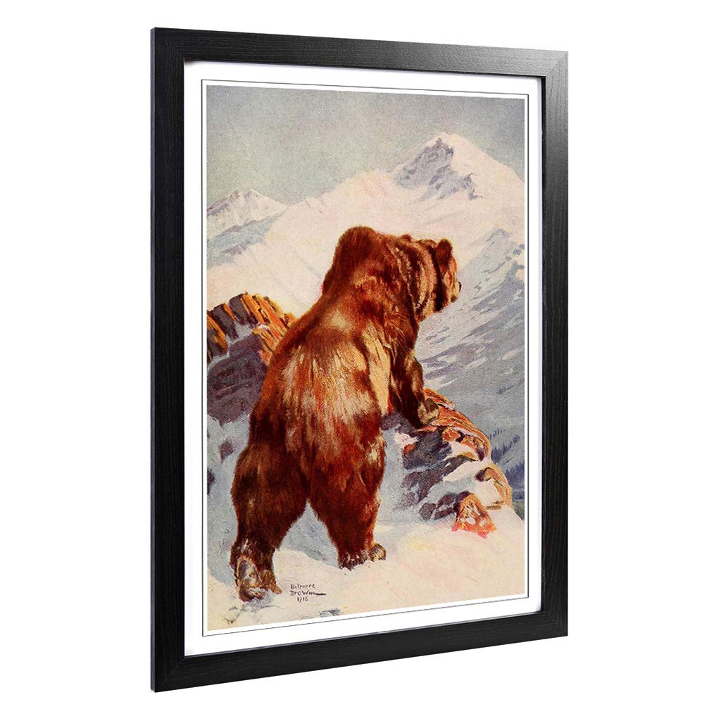 Big Box Art Framed Print of Vintage Belmore Alaska Brown Bear Design | Wall Art Picture | Home Decor for Kitchen, Living Room, Bedroom, Hallway, Black, A2 / 24.5x18 Inch / 62x45cm