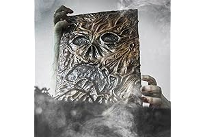 The Necronomicon: A Mysterious Book of Spells from the Evil Dead Universe