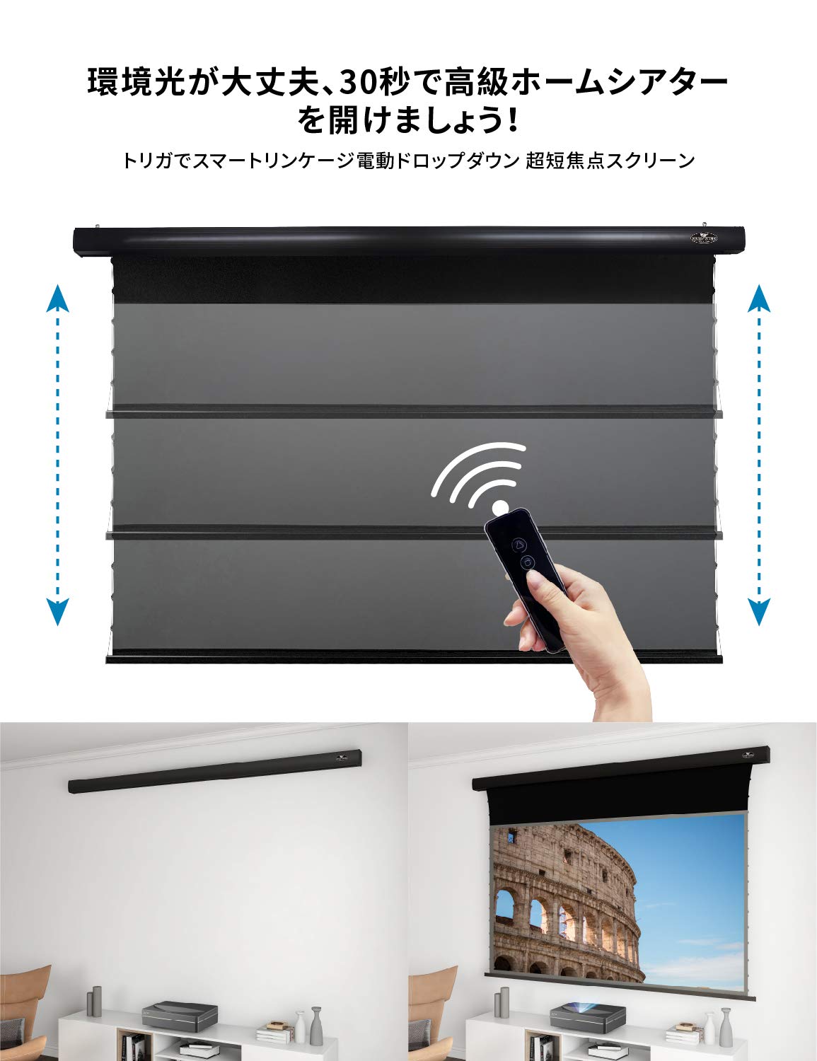 Amazon | スクリーン レザー プロジェクター用 壁掛け VIVIDSTORM