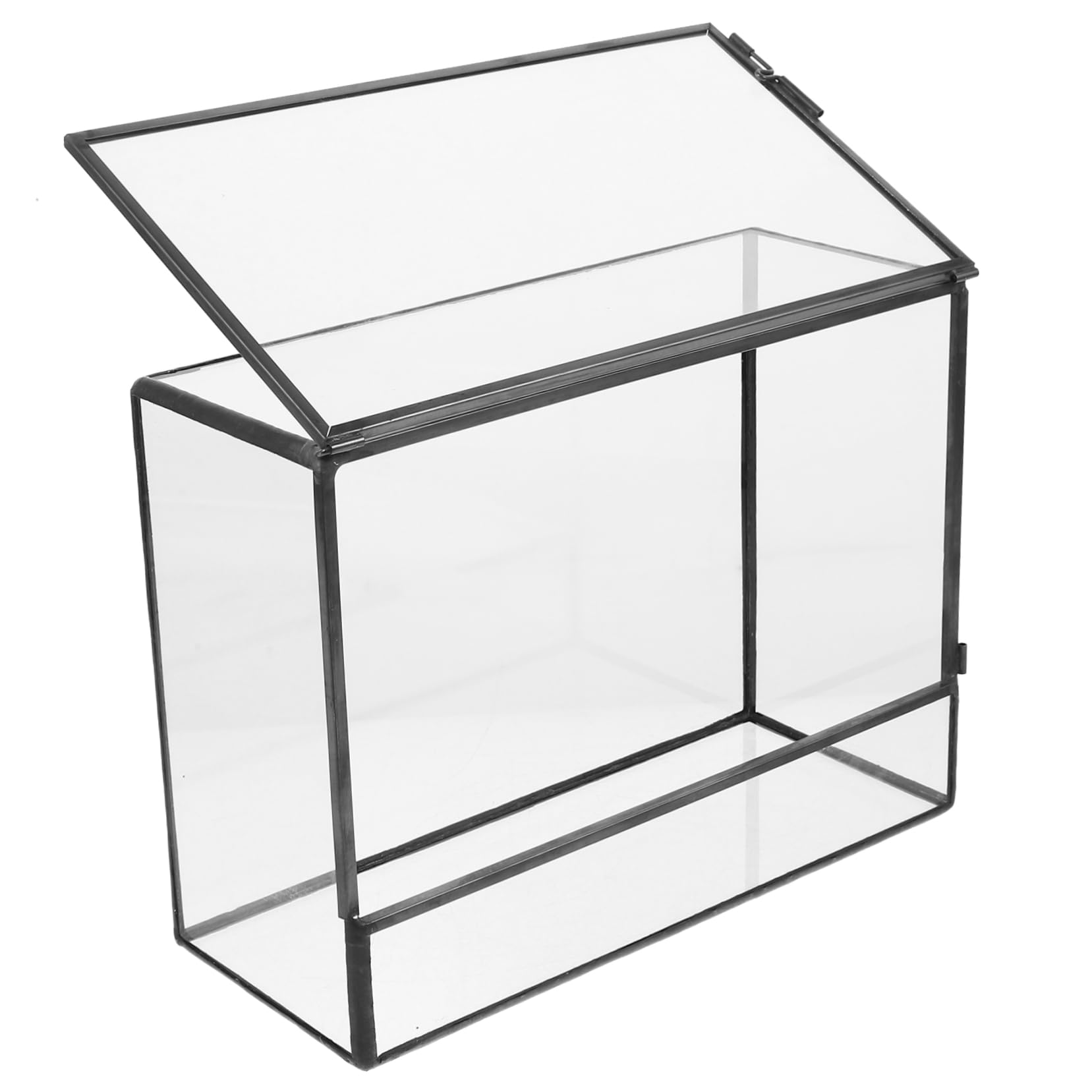Terrario Fai da Te in Vetro per Piante e Muschio, Mini | Contenitore Paesaggistico Geometrico, Finitura Trasparente Liscia, Uso su Tavolo Pranzo o Piano Cucina