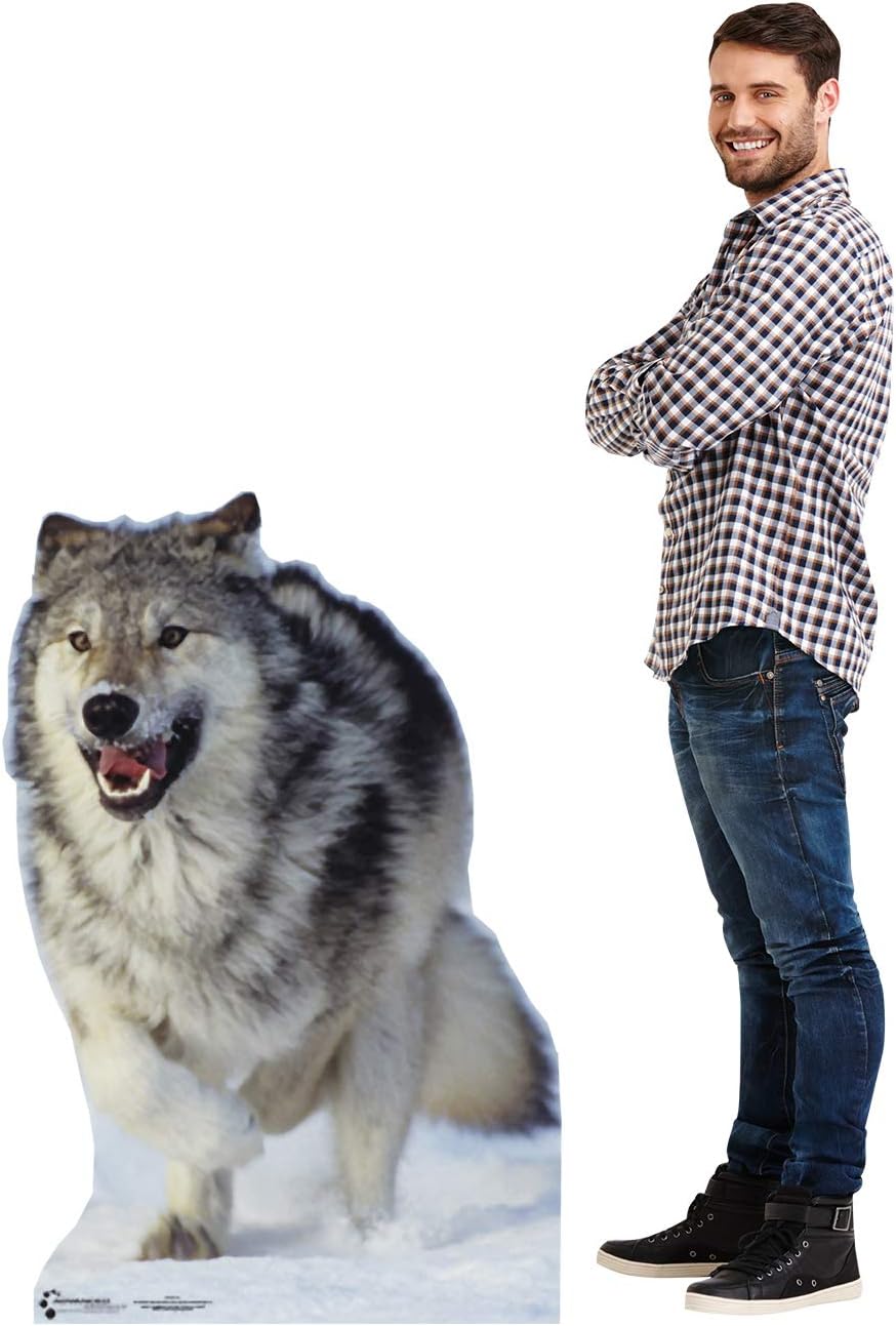 Cardboard People Wolf Life Size Cardboard Cutout Standup