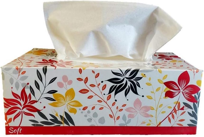 Tissues 2-Ply Facial Tissue, 5760 Tissues, 160 Tissues per Box - 36 Box per Case