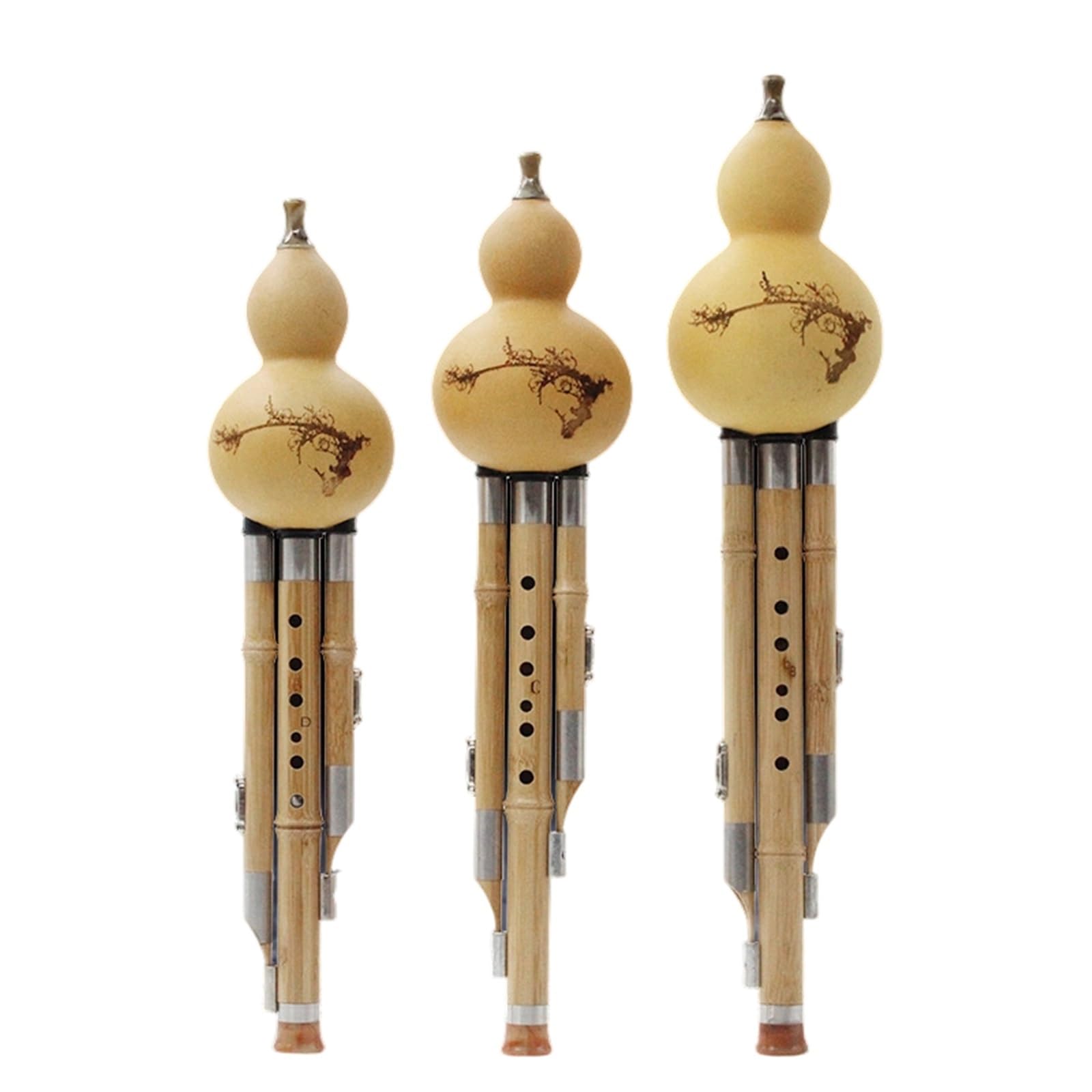 Principianti Hulusi Hulusi DC E Bb Majors Professional Performance Con Custodia In Pelle E Accessori(D minor)